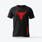 Red-Polo-Carnitech-BoxWeb