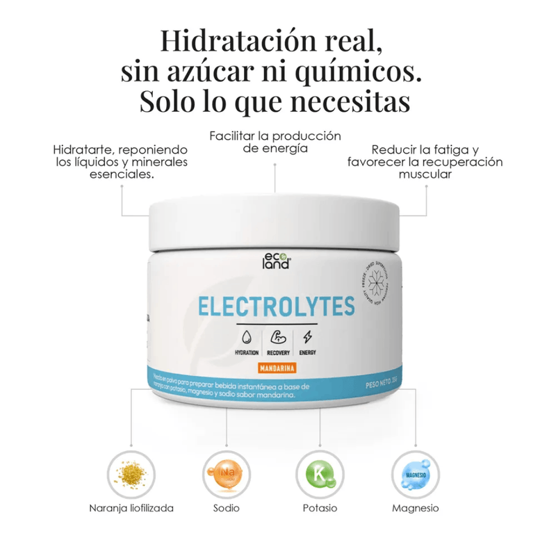 BOXWEB-JUNIO--24-