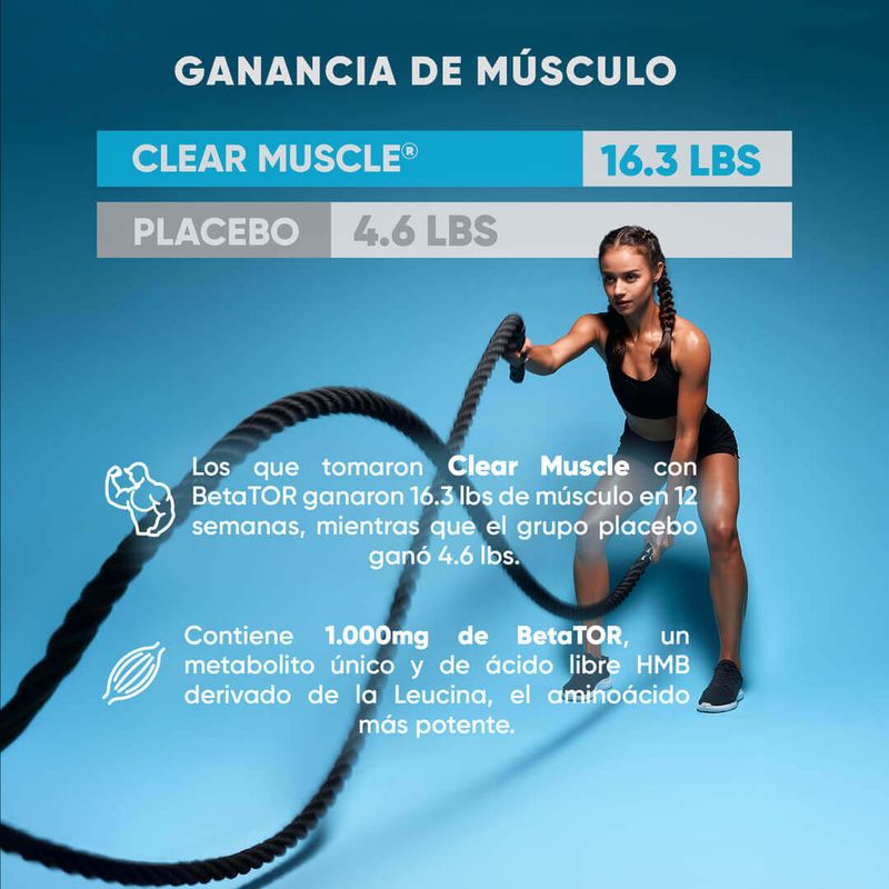 CLEAR-MUSCLE-CARFRUSEL2_03--1-